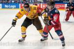 Photo hockey reportage CHL : Litvinov supérieur collectivement