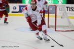 Photo hockey reportage CM09 - J2 : Finlande et Tchéquie 5 partout !!