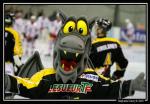 Photo hockey reportage Conti Cup : Photos série 1
