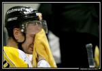 Photo hockey reportage Conti Cup : Photos série 2