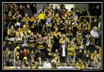 Photo hockey reportage Conti Cup : Photos série 3