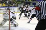 Photo hockey reportage Continental Cup J1 Match 2 : Rouen démarre bien