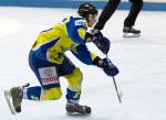 Photo hockey reportage D3 Carré Final : Anglet - Toulon
