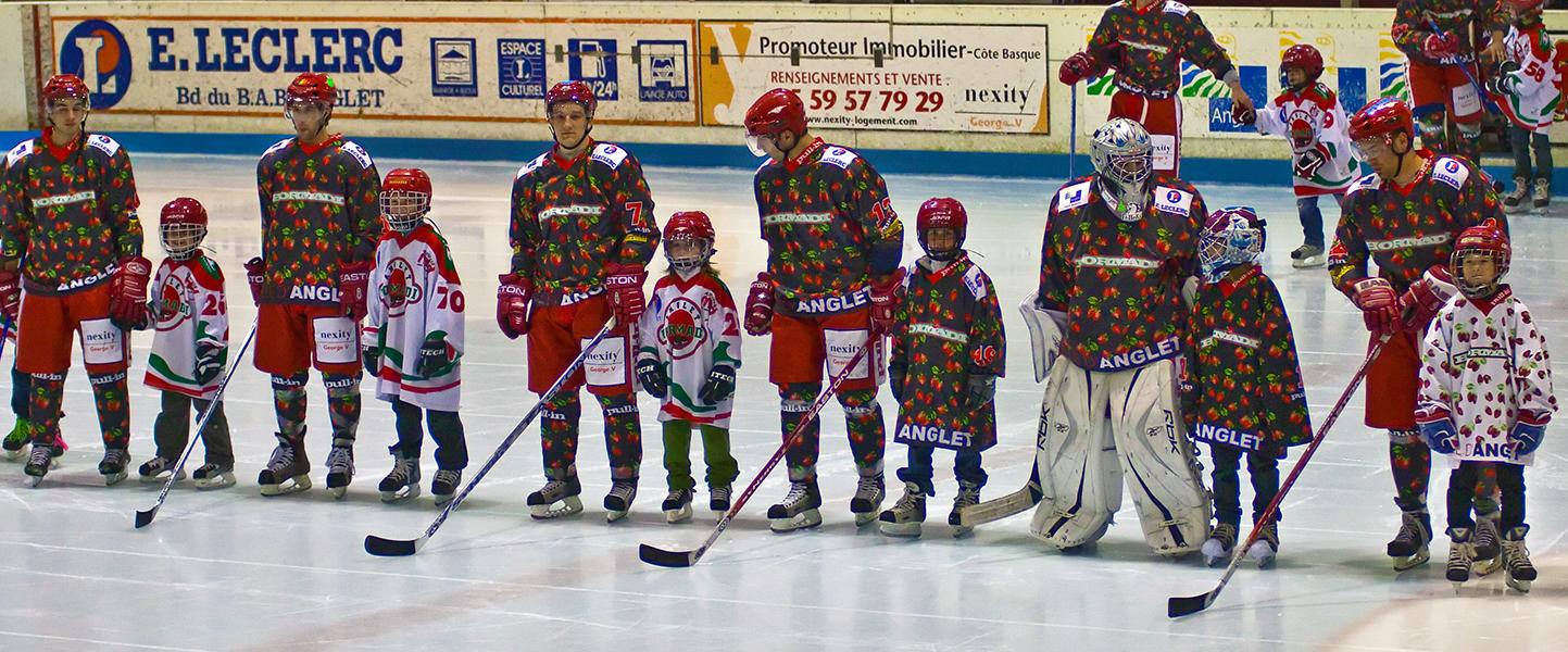 Photo hockey reportage D3 Carré Final : Anglet - Vanoise