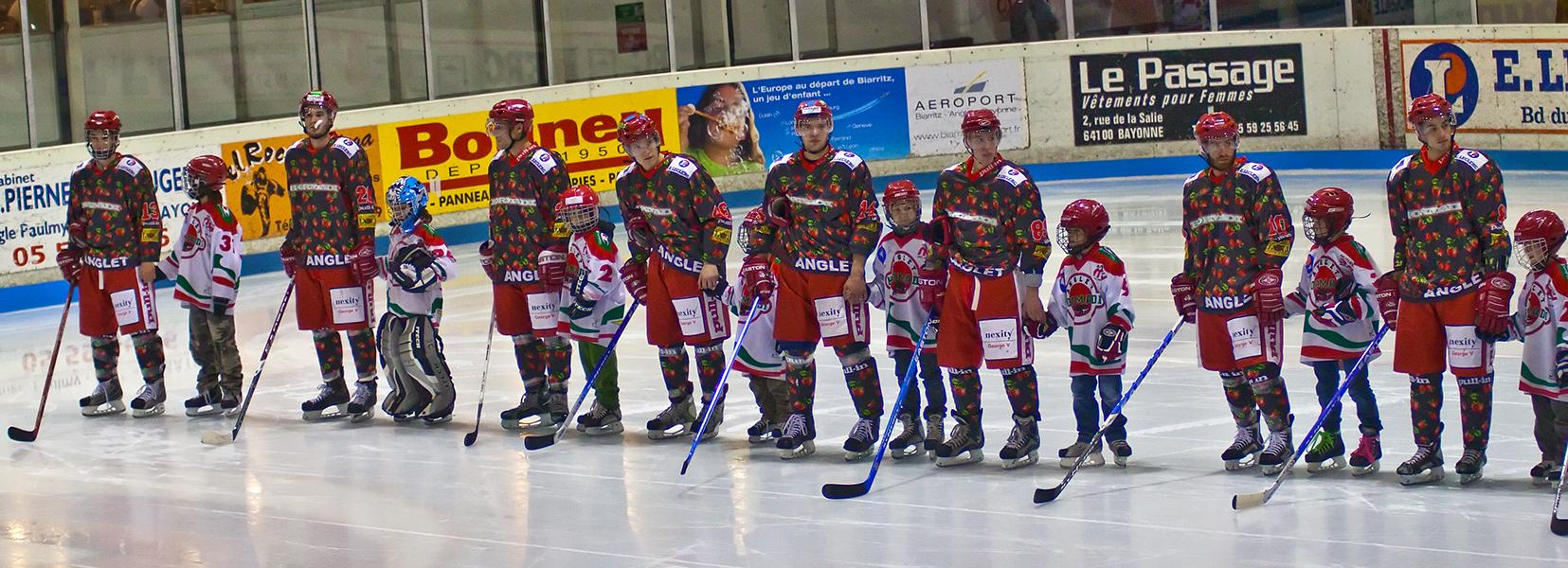 Photo hockey reportage D3 Carré Final : Anglet - Vanoise