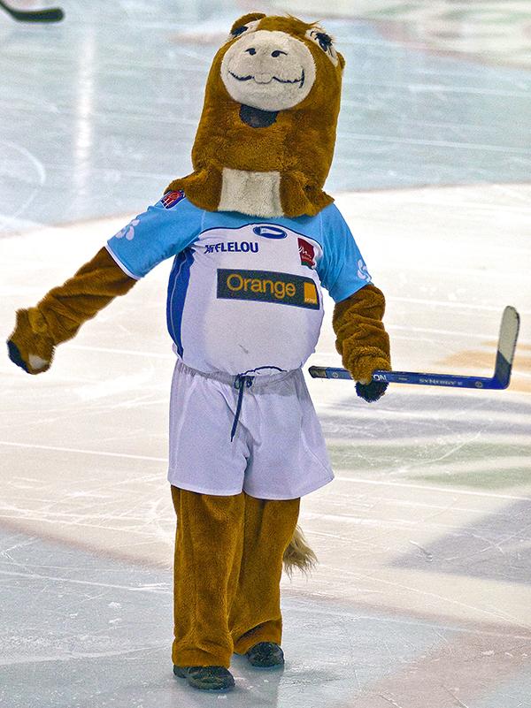 Photo hockey reportage D3 Carré Final : Anglet - Vanoise