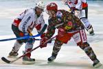 Photo hockey reportage D3 Carré Final : Anglet - Vanoise