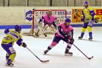 Photo hockey reportage D3 Carré Final : Français Volants - Toulon