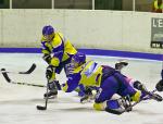 Photo hockey reportage D3 Carré Final : Français Volants - Toulon