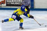 Photo hockey reportage D3 Carré Final : Toulon - Vanoise