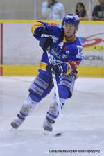 Photo hockey reportage Dijon - Mulhouse : effectifs et préparation.