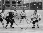 Photo hockey reportage EDF U16 : L'Autriche impériale