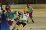 Photo hockey reportage Fém. Excel. : Cergy - Viry