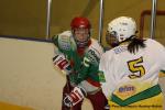 Photo hockey reportage Fém. Excel. : Cergy - Viry