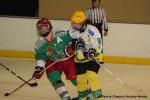 Photo hockey reportage Fém. Excel. : Cergy - Viry