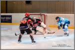 Photo hockey reportage Féminines : Neuilly / Marne - Tours