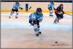 Photo hockey reportage Féminines : Neuilly / Marne - Tours