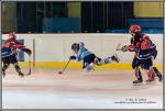 Photo hockey reportage Féminines : Neuilly / Marne - Tours