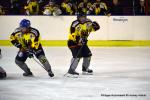 Photo hockey reportage Fem élite : L'Aigle vole tranquillement