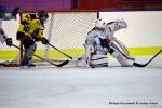 Photo hockey reportage Fem élite : L'Aigle vole tranquillement