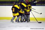 Photo hockey reportage Fem élite : L'Aigle vole tranquillement