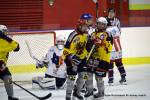 Photo hockey reportage Fem élite : L'Aigle vole tranquillement