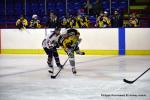 Photo hockey reportage Fem élite : L'Aigle vole tranquillement