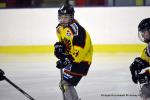 Photo hockey reportage Fem élite : L'Aigle vole tranquillement