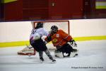 Photo hockey reportage Fem élite : Occitanie confirme