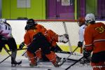 Photo hockey reportage Fem élite : Occitanie confirme