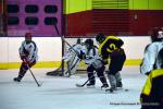 Photo hockey reportage Fem Elite : Besançon éteint les Brûleuses