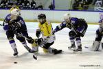 Photo hockey reportage Finale Conti Cup : Du sérieux, de l’envie, le titre et l’euphorie.