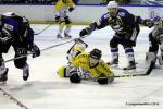 Photo hockey reportage Finale Conti Cup : Du sérieux, de l’envie, le titre et l’euphorie.