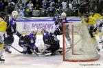 Photo hockey reportage Finale Conti Cup : Du sérieux, de l’envie, le titre et l’euphorie.