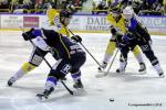 Photo hockey reportage Finale Conti Cup : Du sérieux, de l’envie, le titre et l’euphorie.