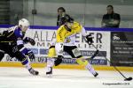 Photo hockey reportage Finale Conti Cup : Du sérieux, de l’envie, le titre et l’euphorie.