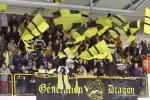 Photo hockey reportage Finale Conti Cup : Du sérieux, de l’envie, le titre et l’euphorie.