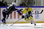 Photo hockey reportage Finale Conti Cup : Du sérieux, de l’envie, le titre et l’euphorie.