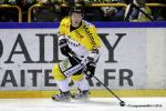 Photo hockey reportage Finale Conti Cup : Du sérieux, de l’envie, le titre et l’euphorie.