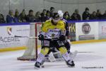 Photo hockey reportage Finale Conti Cup : Du sérieux, de l’envie, le titre et l’euphorie.