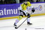 Photo hockey reportage Finale Conti Cup : Du sérieux, de l’envie, le titre et l’euphorie.
