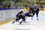 Photo hockey reportage Finale Conti Cup : Du sérieux, de l’envie, le titre et l’euphorie.