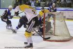Photo hockey reportage Finale Conti Cup : Du sérieux, de l’envie, le titre et l’euphorie.