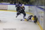 Photo hockey reportage Finale Conti Cup : Du sérieux, de l’envie, le titre et l’euphorie.