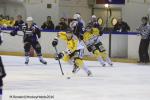 Photo hockey reportage Finale Conti Cup : Du sérieux, de l’envie, le titre et l’euphorie.