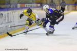 Photo hockey reportage Finale Conti Cup : Du sérieux, de l’envie, le titre et l’euphorie.