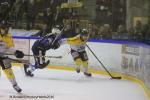 Photo hockey reportage Finale Conti Cup : Du sérieux, de l’envie, le titre et l’euphorie.