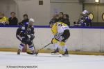 Photo hockey reportage Finale Conti Cup : Du sérieux, de l’envie, le titre et l’euphorie.
