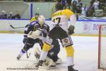 Photo hockey reportage Finale Conti Cup : Du sérieux, de l’envie, le titre et l’euphorie.