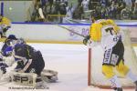 Photo hockey reportage Finale Conti Cup : Du sérieux, de l’envie, le titre et l’euphorie.